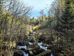 -汤旺河林海奇石景区