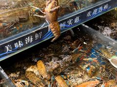 -熊记虾王·小龙虾(东晓南店)