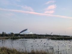 -哈尔滨大剧院
