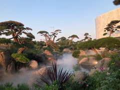 -罗红摄影艺术馆