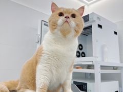 -comecome来吧宠物(奥克斯中心店)