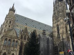 -斯蒂芬主教座堂(Stephansdom)