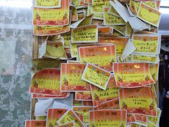 希望小学堂-做了不起的80后