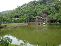 -野象谷景区