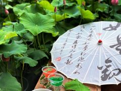 -花之城