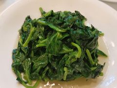 白酒有机豆苗-瑞福园联谊餐室(茂名南路店)