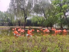 -石家庄市动物园