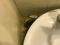 -格林豪泰(天津滨江道店)