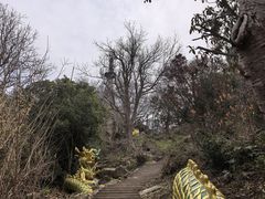 -紫金山山顶公园