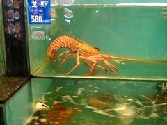 -长崎家日式料理(人民大街店)