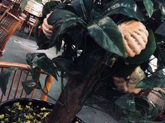 -云来居素食馆(南山店)