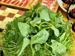 -慢丽江·云南野生菌土鸡锅(付家庄店)