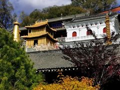 -五台山风景名胜区