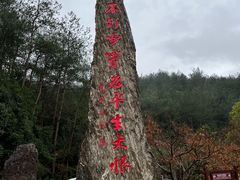 -溪口-滕头旅游景区