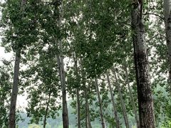 -仁和公园(顺义区)