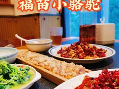 -福苗小骆驼烧烤(曲江店)