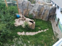 -青藏高原野生动物园