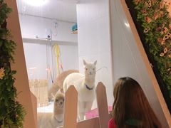 -Blue Concept Cafe&Farm·關於藍