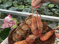 -七的湖·晚芳亭·阳澄湖农家菜·大闸蟹(莲花岛店)