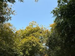 -金银湖国家城市湿地公园