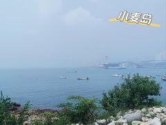 -小麦岛公园