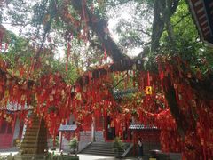 -国恩寺