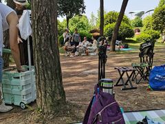 -铁山坪森林公园