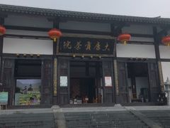 -大唐贡茶院