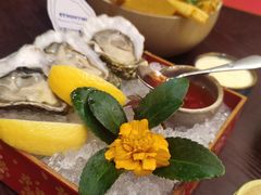 -普朗姆生蚝牛排馆 The Plump Oyster(成都摩方购物中心店)