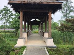 -同里国家湿地公园