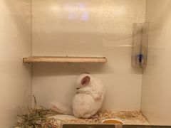 -龙猫仔乐园(惠福东路店)