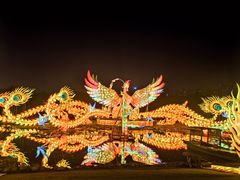 -武汉园博园(武汉自然博物馆)