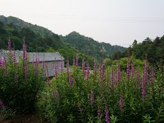 -云峰山自然风景区