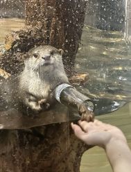 -Zoolung Zoolung动物主题公园(海信广场店)