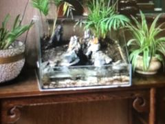 -莱蔻·圣灸堂·推拿艾灸(天山店)