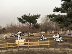 -长春公园(普阳街道)