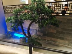 -客语客家菜(佳兆业广场店)