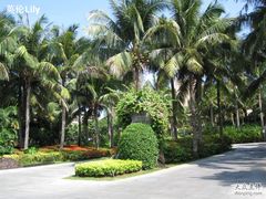 红树林-三亚亚龙湾红树林度假酒店