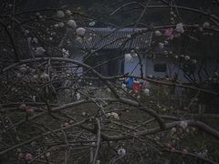 -常德桃花源景区