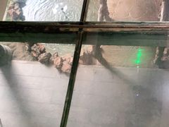 -缘福乡村铁锅炖民宿(八达岭店)
