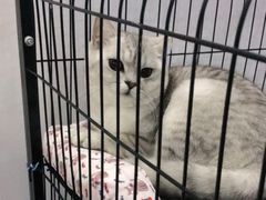 -爱侣宠医·鹦鹉专科·小型哺乳类·异宠专科(灵石路店)