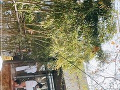 -春晖园度假酒店温泉