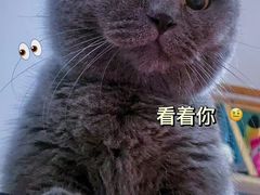 -猫宠乐园·专业洗护