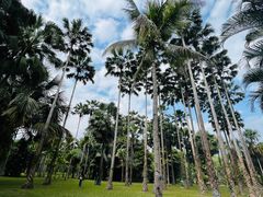 -中国科学院西双版纳热带植物园