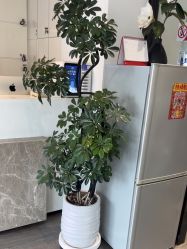 -LJOY丽锦造型·烫发染发