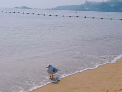 -青岛第一海水浴场