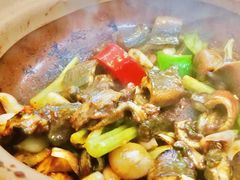 -天宝食坊·啫啫煲大排档(西华路店)