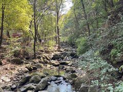 -香炉山国家森林公园