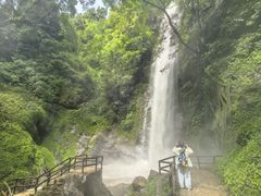 -莫里热带雨林景区