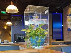 -blue frog蓝蛙(长泰广场店)